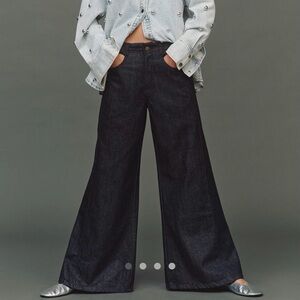 The Aldi Sparkle Mid-Rise Flare Pants by Pilcro, Size 28